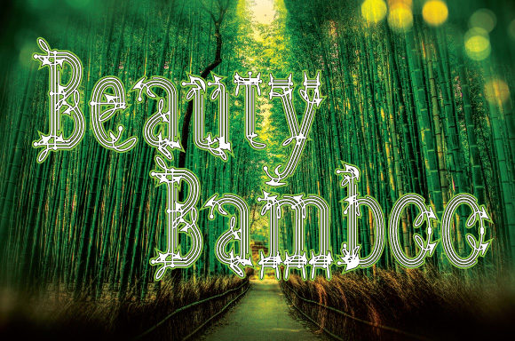 Beauty Bamboo Font for Handmade and Design Projects