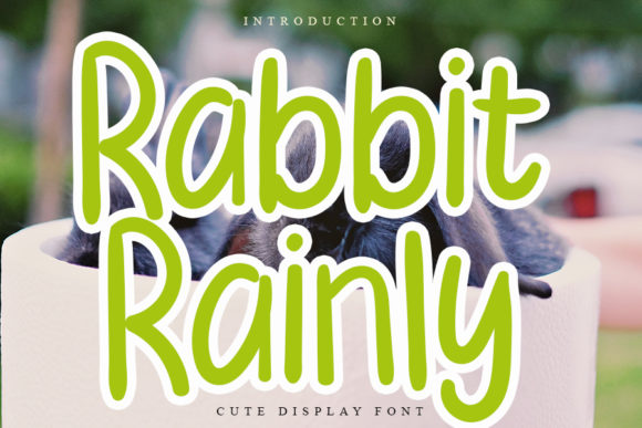 Rabbit Rainly Font for Business Branding and Design